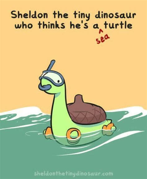 29 Hilarious Turtle Memes That Are So Funny They Re