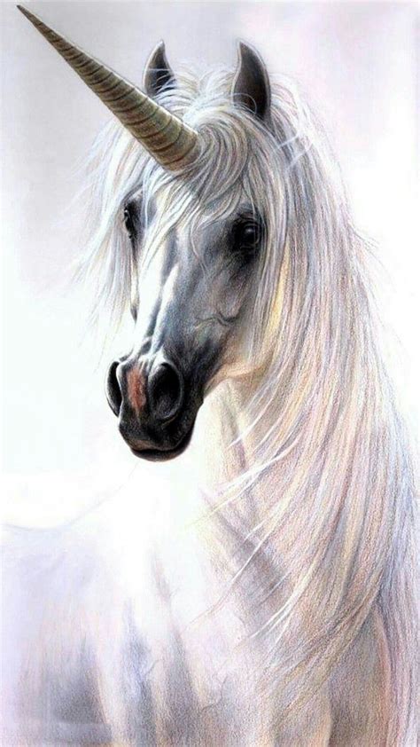 draw  unicorn head painting  white unicorn  white
