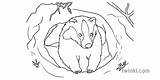 Burrow Eyfs Ks1 Badger sketch template