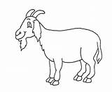 Goat Drawing Cartoon Draw Kids Drawings Getdrawings Paintingvalley sketch template