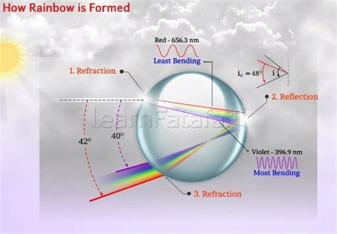 formation  rainbow learnfatafat