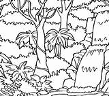 Coloring Rainforest Pages Printable Trees Forest Rain Getcolorings Getdrawings Print Colouring Colorings sketch template