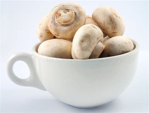 cup  mushrooms stock image image  recipe food farming