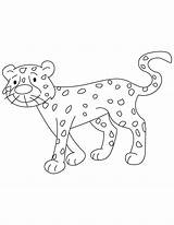 Coloring Cheetah Cub Walking Pages sketch template
