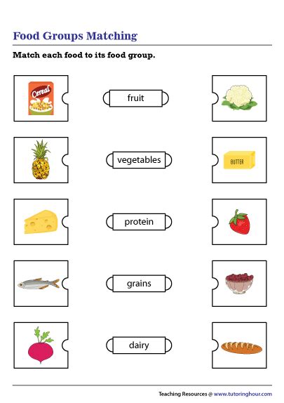 food groups interactive worksheet worksheet template vrogueco