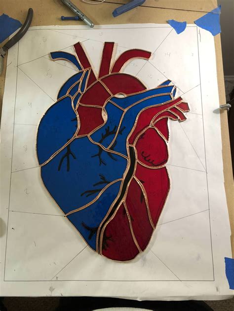 Stained Glass Anatomical Heart Album On Imgur Stained