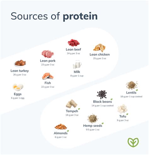 comparing animal  plant based protein fullscript