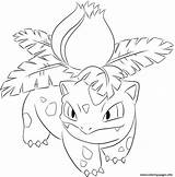 Ivysaur Bulbasaur Tegninger Ausmalbild Venusaur Glumanda Bisasam Kolorowanki Kleurplaten Procoloring Pikachu Ausmalen Kolorowanka Pokémon Charizard Malen Ausdrucken Pok Supercoloring Rayman sketch template