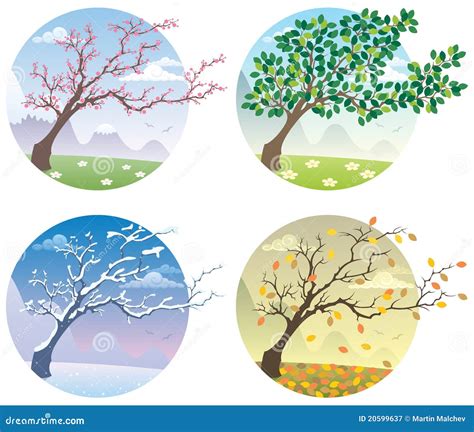 quattro stagioni illustrazione vettoriale illustrazione  foglio