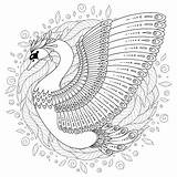 Swan Coloring Pages Adult Decorated Drawn Hand Books sketch template