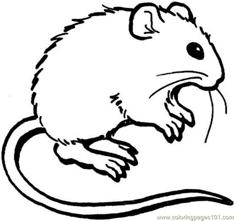 coloring pages mouse  coloring page animals mouse  printable