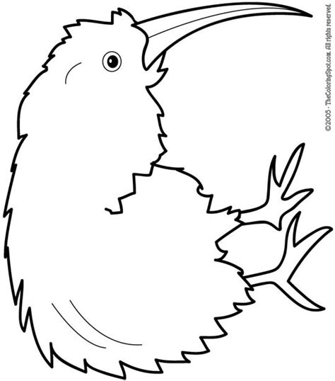 kiwi coloring page audio stories  kids  coloring pages