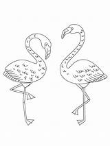 Flamingos Coloringpage sketch template