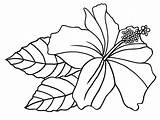 Hibiscus Hawaiin sketch template