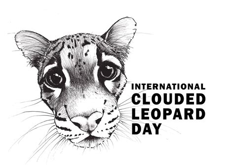 International Clouded Leopard Day Facebook
