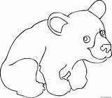 Bear Cub Bears Ours Supercoloring Getdrawings Getcolorings sketch template