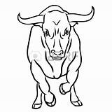 Bull Charging Drawing Getdrawings sketch template