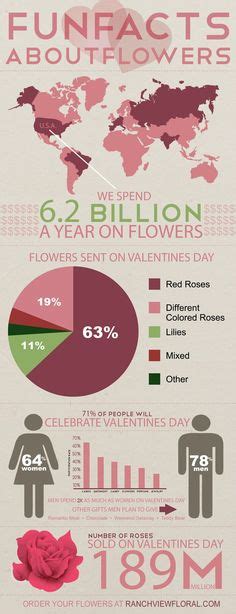 1000 images about valentine day infographic on pinterest valentines day infographic and
