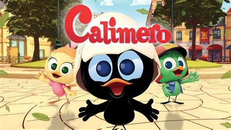 calimero wiki cartoon amino