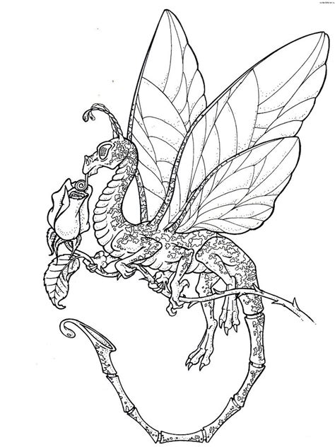 detailed dragon coloring pages coloring home