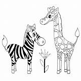 Zebra Giraffe sketch template