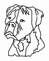Ugly Dog Coloring Pages Boxer Face Color Print Printable Getcolorings Tocolor sketch template