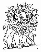 Lion Coloring King Pages Disney Simba Sheets sketch template