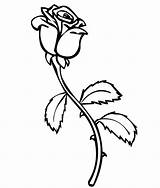 Coloring Pages Thorns Thorn Rose Roses Getdrawings sketch template