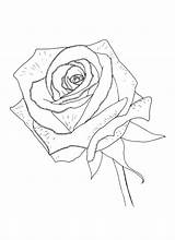 Rose Coloring Pages Realistic Mothers Cross Drawing Beautiful Desktop Stencil Wallpapers Background Getcolorings Printable Getdrawings Color sketch template