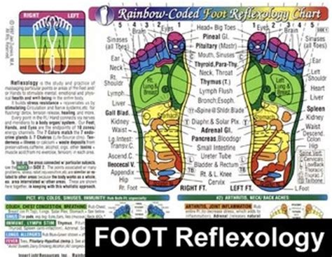 Foot Reflexology Zone Massage Poster Clinical Charts And Supplies