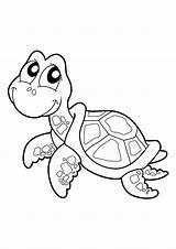 Tortue Dessiner Tortues Coloriages Turtles Gratuit Baby Ninja Loisirs Poisson Résultat Bébé sketch template