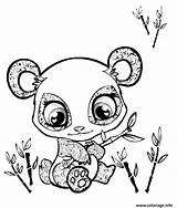 Panda Mignon Gratuit Colorier Imprimé sketch template