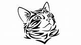 Cat Face Coloring Easy Draw Cartoon sketch template