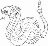 Coloring Rattlesnake Diamondback Getcolorings Pages Printable Color sketch template