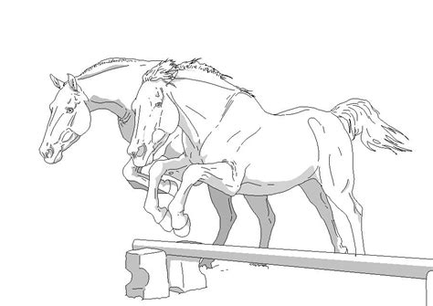 horse lineart horse drawings horse art drawing horse coloring pages