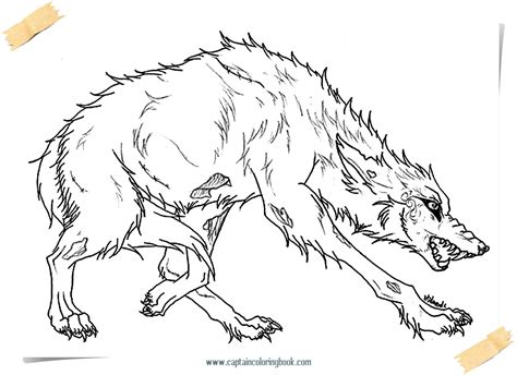 furry paws wolf coloring pages