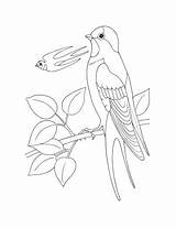 Swallow Coloring Pages Bird Printable Swallows Choose Board Getcolorings sketch template