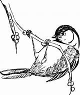 Petting Critter Defenders Chickadee Pinclipart sketch template