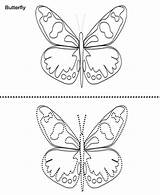 Butterfly Drawing Worksheet Coloring Work Pages sketch template