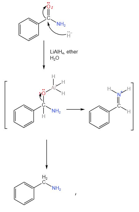 amine  formed   reduction    amide studycom