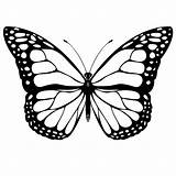 Butterfly Coloring Pages Monarch Butterflies Printable Sheet Drawing Outline Draw Drawn Template Detailed Kids Colour Tattoo Wings Cute Pattern Wing sketch template