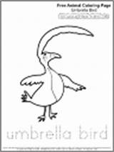 Coloring Pages Zoo Umbrella Bird Letter Animal Circus Seal Umbrellabird sketch template