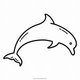Golfinho Colorir Delfino Imprimir Dolphin Stampare Ultracoloringpages sketch template