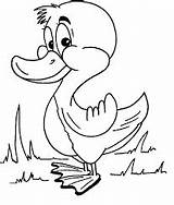 Coloring Pages Duck Printable Alphabet Print Animals Online sketch template