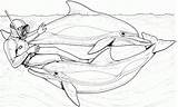 Coloring Dolphins Pages Adults Popular sketch template