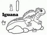Iguana Coloring4free 2512 Ausmalbilder sketch template