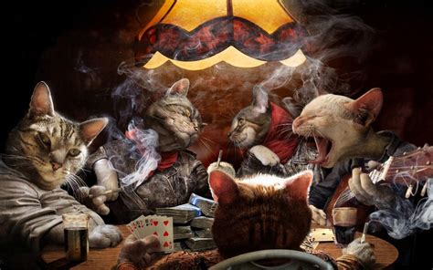 cats playing poker wallpapers hd desktop  mobile backgrounds