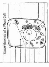 Coloringhome Labeling Venn Superstar Pensandpieces sketch template