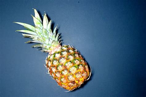 pineapple  blue surface  stock photo