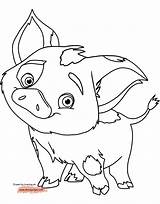 Moana Coloring Pages Pua Pig Baby Disney Piggy Miss Color Cute Drawing Printable Kids Guinea Picturethemagic Printables Disneyclips Maui Colouring sketch template